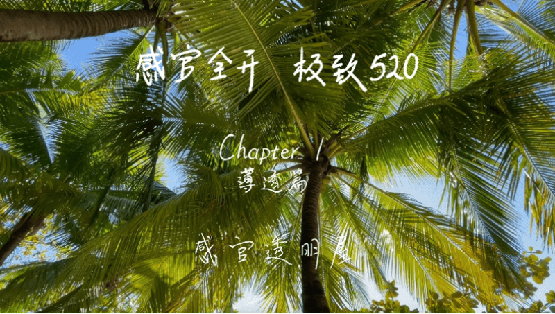 感官全开，极致520